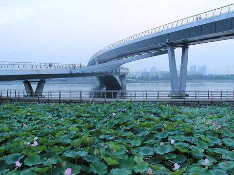 A skew bridge are installed on the river and several lotus in the river.